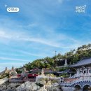 국물집 Daum카페