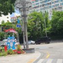 압구정감마약국 이미지