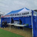 풍삼아 | 도라지미 영주장날 농특산물 대축제 영주농업대상 수상!