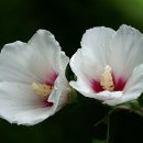 우리의계절 이미지