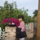 에벤에셀하우스 이미지