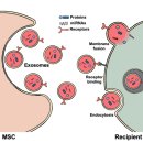 제일메디컬센터 이미지
