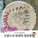 울산 삼산동 횟집 회 썰어주는 오광수산 회센터 달동횟집에서 회포장