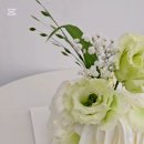 하마마베이크 이미지