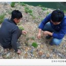 은하수농장 이미지