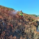 일석이조 이미지