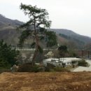 정안면 복합청사 이미지