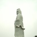 비밀의 사원 이미지