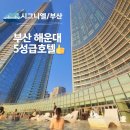 부산 | 해운대호텔 추천 시그니엘 부산 후기 수영장 예약팁