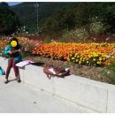 주작골주차장 이미지