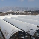 광림농원 이미지