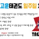 경희대고운태권도