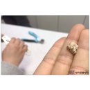 방학동물외과센터 이미지