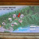 부락산 자전거도로 이미지