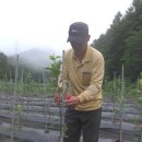 유인목장 이미지