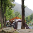 장태산자연휴양림 캠핑장 이미지