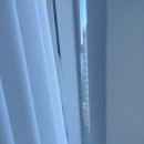 부산 태생인 사람의 부산여행(2)