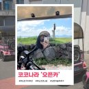 오픈카 | [하루일기] 우도 전기차 코코나라 &#39;오픈카&#39; 내돈내산 솔직후기