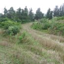 대평리마을회관 이미지