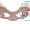 데이지동물병원 이미지