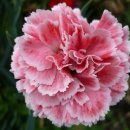 물빛동물병원 이미지