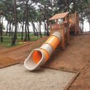 솔밭근린공원 이미지