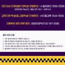 주정차단속-133 | [연극] 연극 라이어 2025.02.01 4시 공연 후기