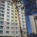 서초힐스아파트 앞 이미지