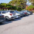 카페인하원 이미지