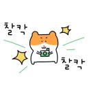 냠냠숯불두마리치킨대전 - 대덕구 석봉북로 20 | 냠냠숯불두마리치킨대전