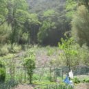 포항시북구31 이미지