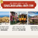 예스여행 이미지