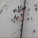 디자인시소 네이버블로그