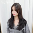 의진헤어 네이버블로그