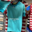 펫클럽 오산점 이미지