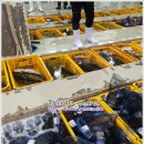 12월 4일(화) 목포는항구다 생선카페 판매생선[ 활쭈구미(대), 갑오징어, (건조) 달돔 ] 이미지