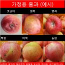 달밭농장 이미지