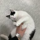 아가상사 이미지