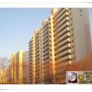 대도부동산중개사무소 이미지