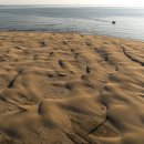 사구해수욕장2 이미지