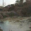 신안부동산공인중개사사무소 이미지