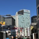 남대문시장길 | 남대문 꽃시장 주말 방문 후기(+가는길, 영업시간,가격, 주차)