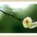 이쁘지오 - 남구 신복로 8 | 이쁘지오