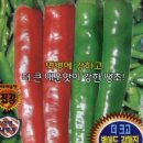 진양원예사 이미지