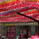 수계 | 조계사 불교 기본 교육(입문교육) 131기 반야수반 마지막 열 번째 교육 및 수료식과 수계법회 후기,,