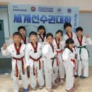 리미태권도장 이미지