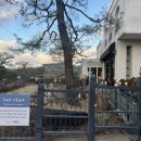 백운안길 | 의왕 백운호수 / 백운원에서 갈비찜 솔직후기 (+카페)