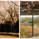 막동농장 이미지