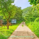 파평체육공원(야구장) 이미지