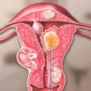 리디아여성의원 이미지